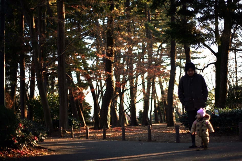 大倉山記念館秋