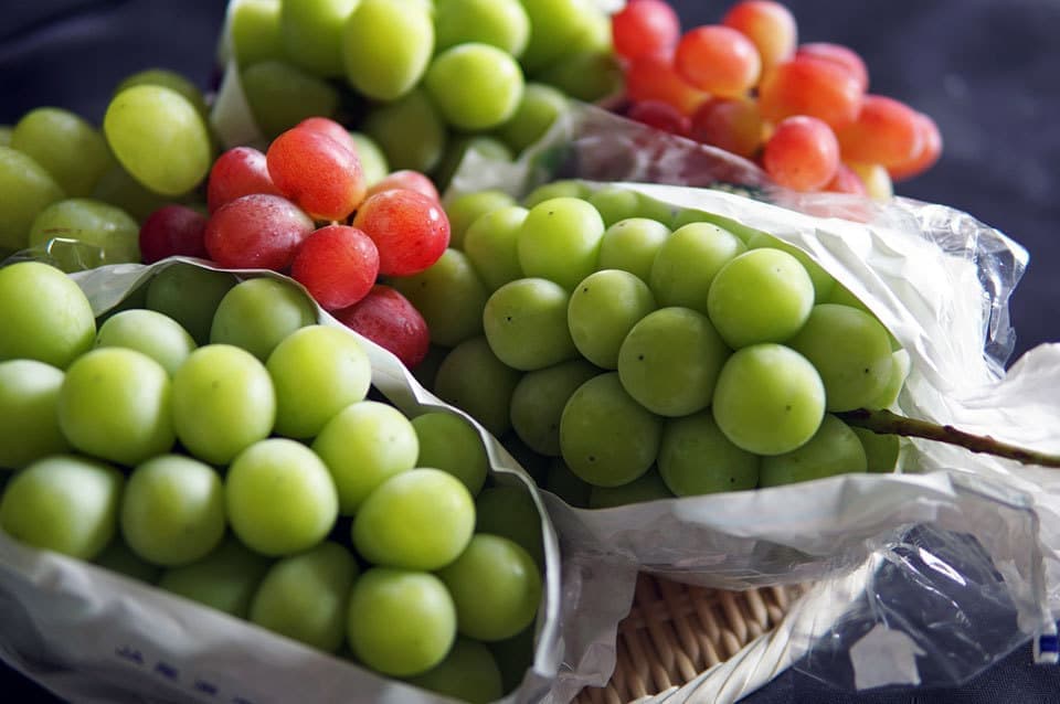 シャインマスカット