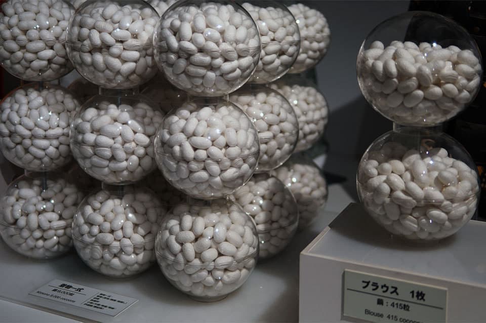 蚕シルク博物館