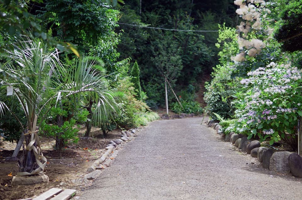 アオダモシンボルツリー