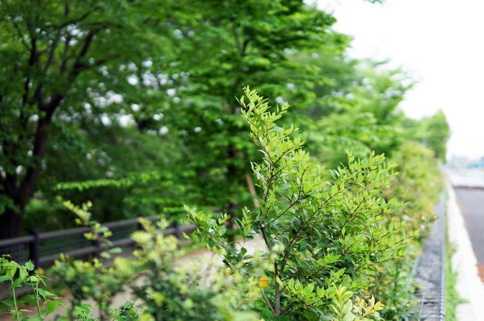 久我山多世帯住宅