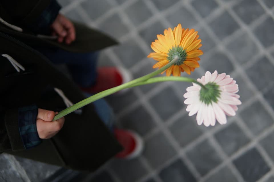 ガーベラプレゼント