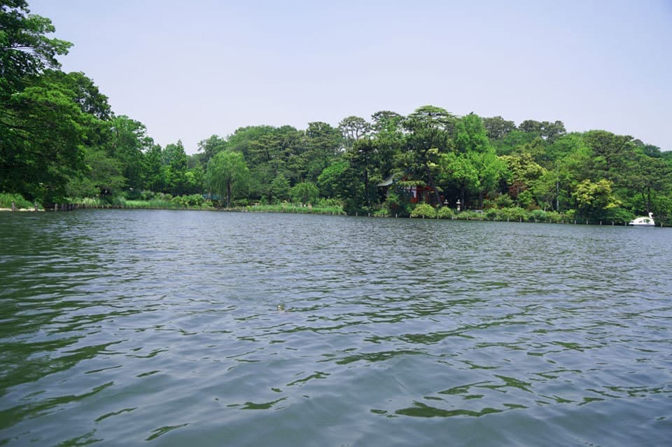 アヒルのボート