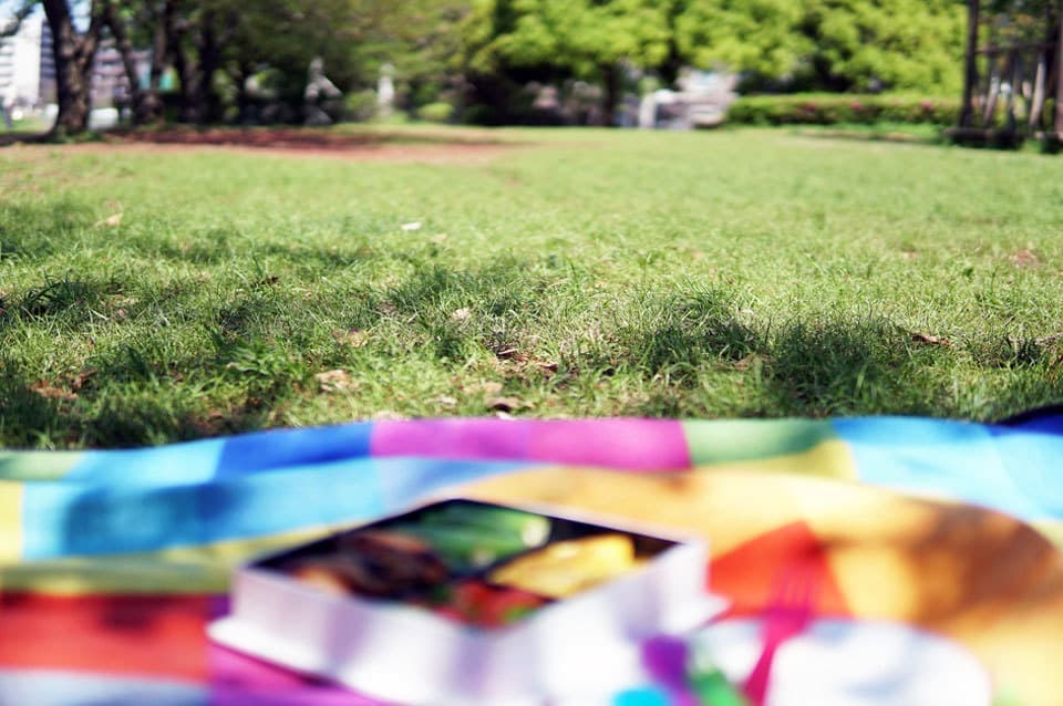 お重のお弁当ピクニック