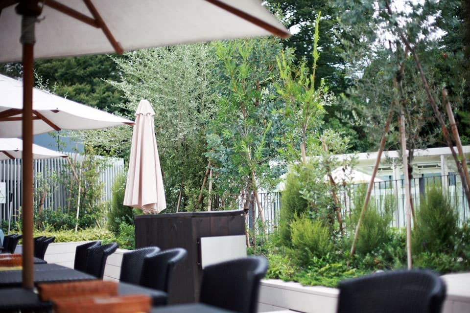 ランチミーティング