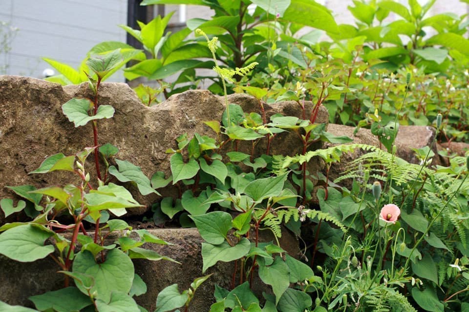 横浜の注文住宅