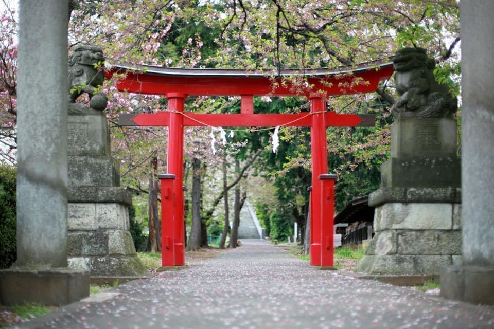 西戸部の注文住宅