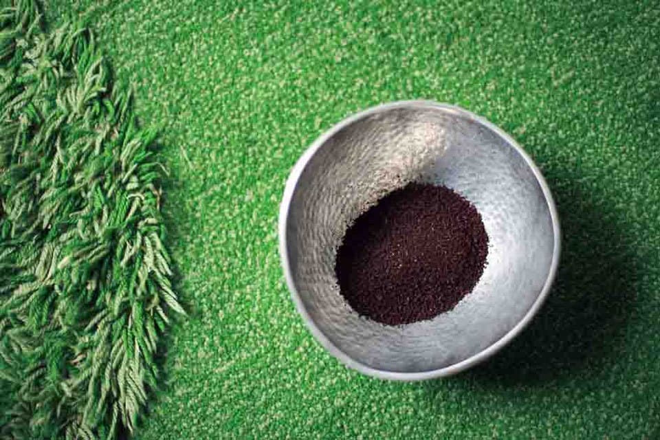 モカイルガチェフ大倉山珈琲