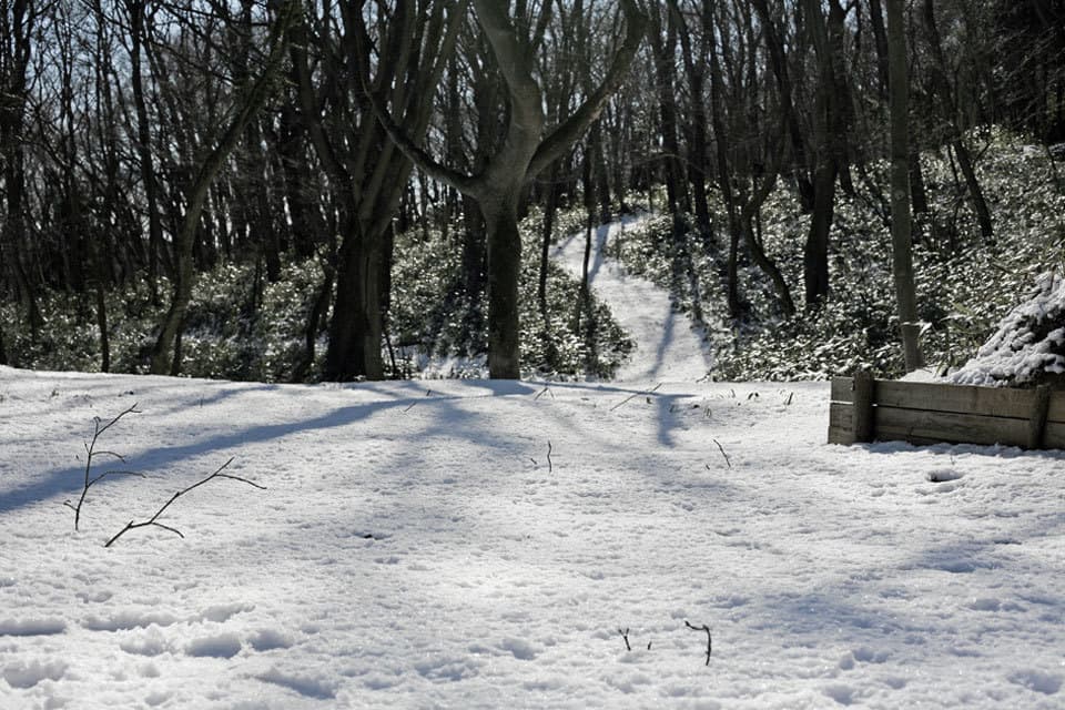 ニコライバーグマン箱根