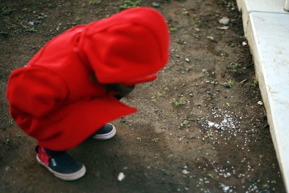 港北区の注文住宅