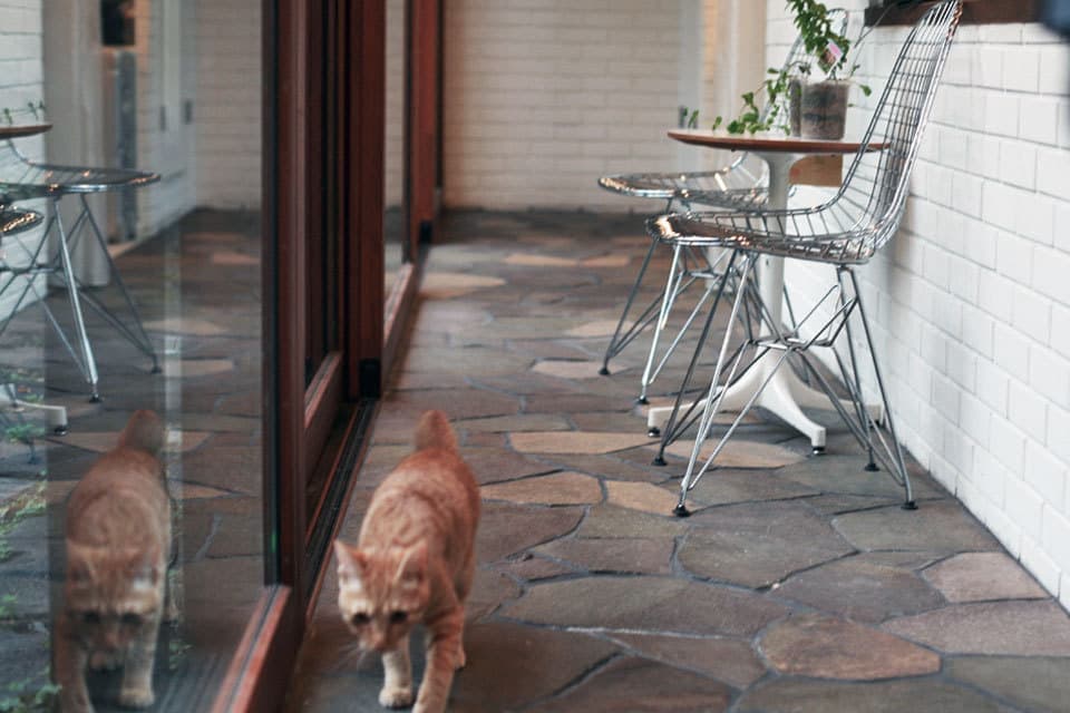 大田区の戸建てリノベ