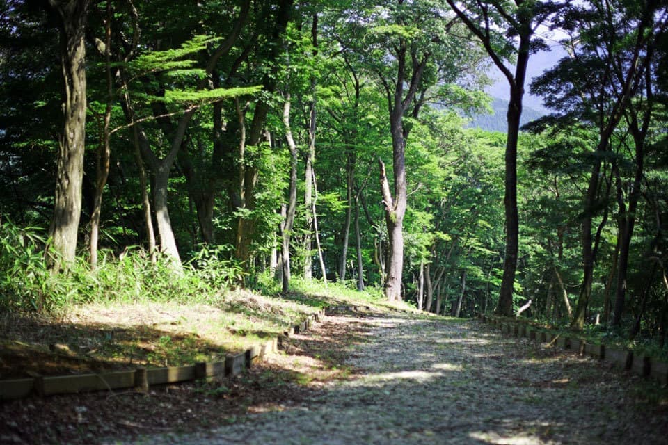 ニコライバーグマン箱根