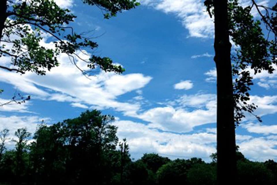 神奈川の注文住宅