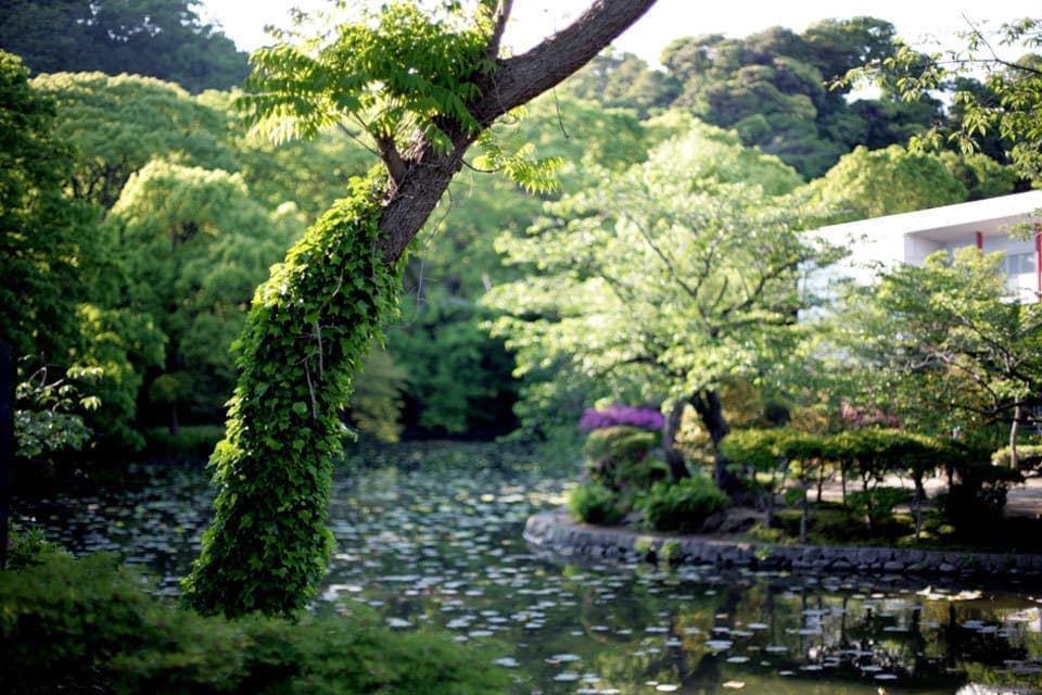 神奈川県立近代美術館