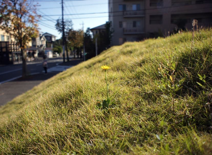たまプラーザの注文住宅