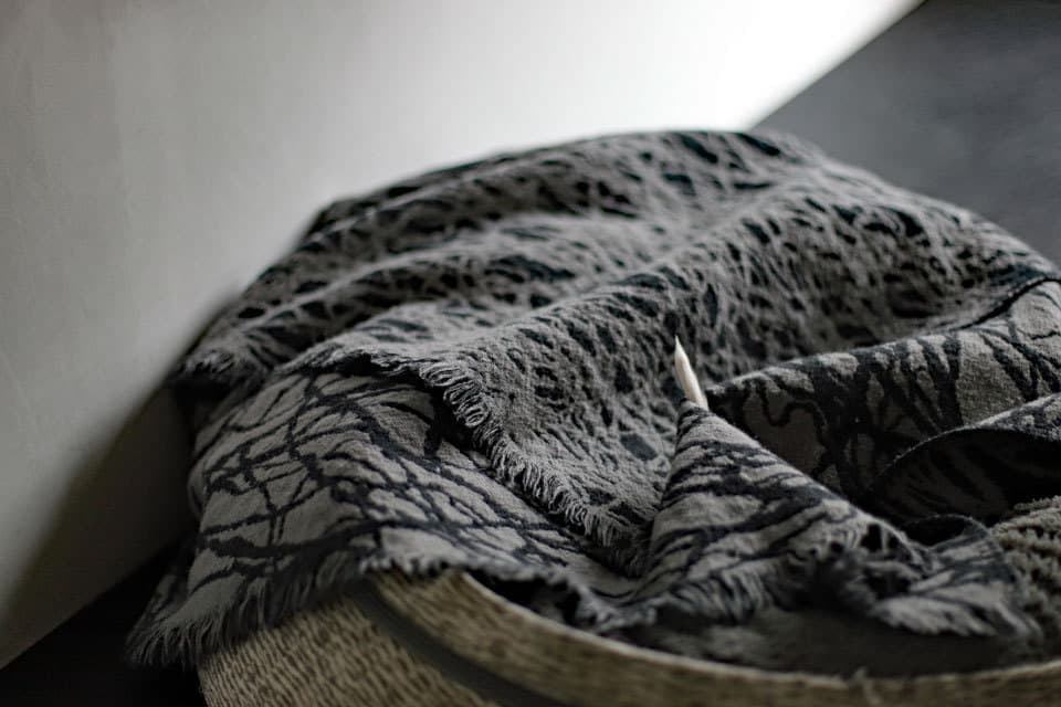 ウィペットwhippetハナ