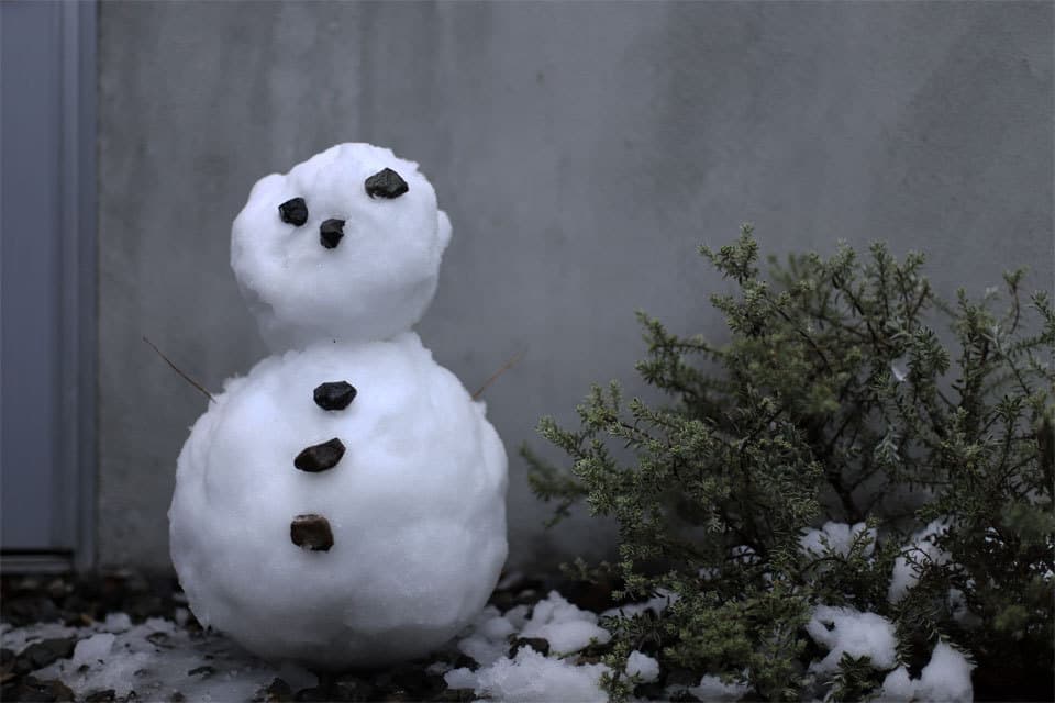 初雪で雪だるま