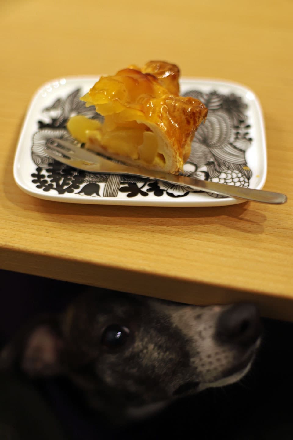 ウィペットwhippetアップルパイ