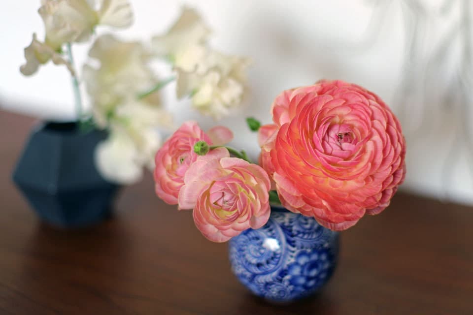 ラナンキュラス