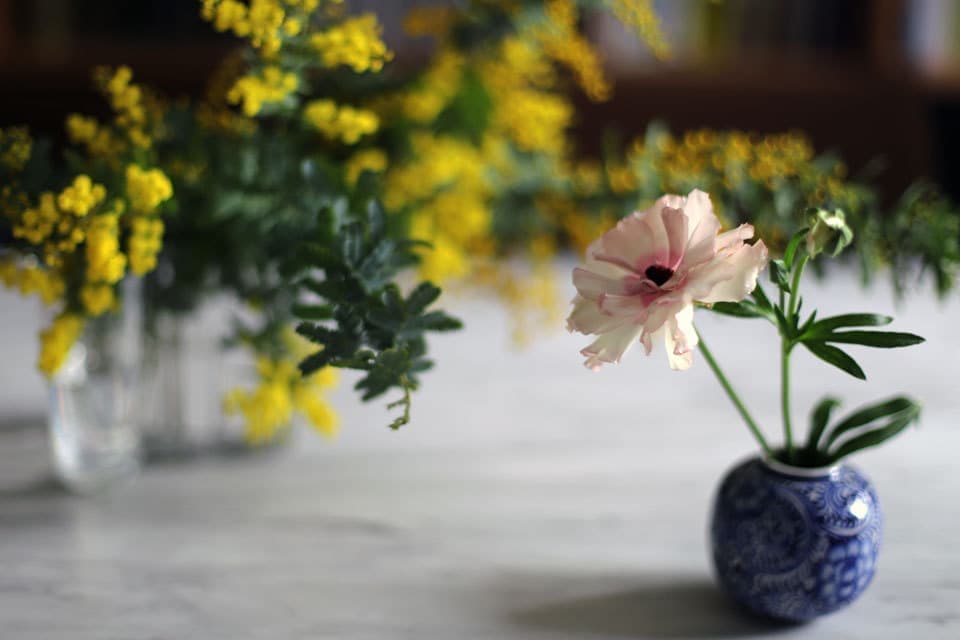 黄色とピンクの花