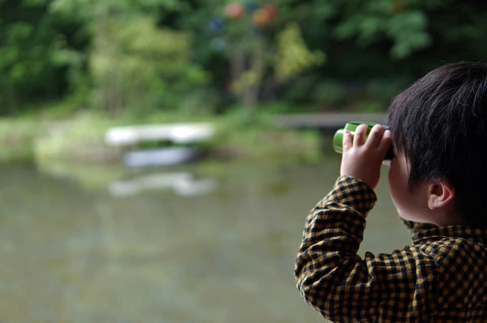 ケラケラ池バードウォッチング