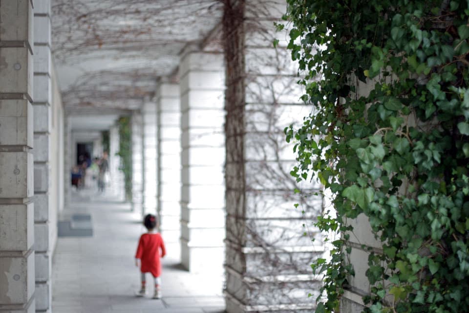 八ヶ岳ピーマン通り