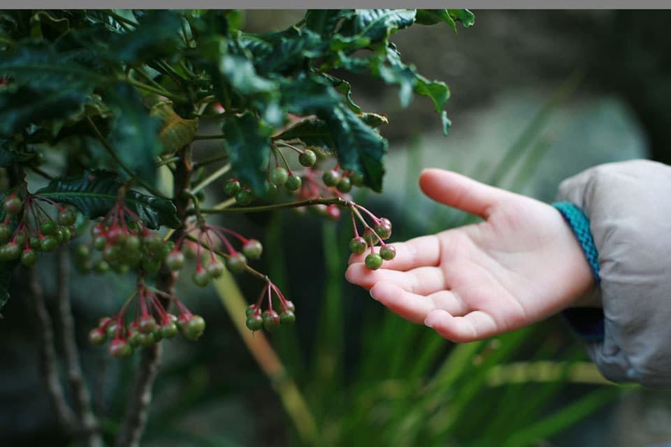 大巧寺おんめさま