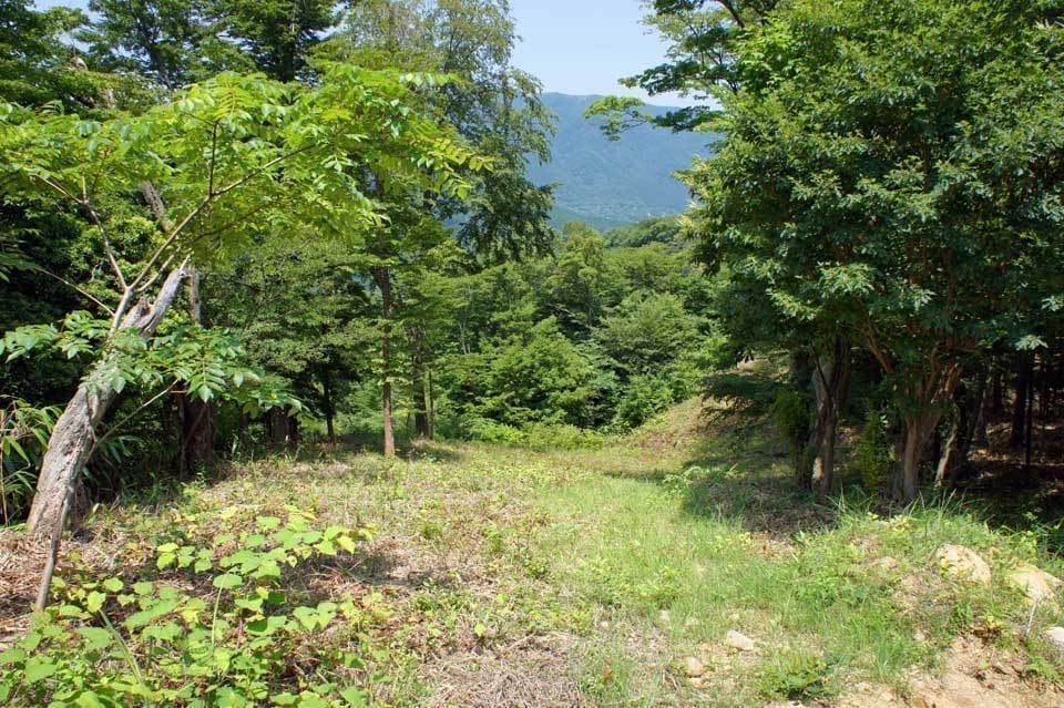 ニコライバーグマン箱根