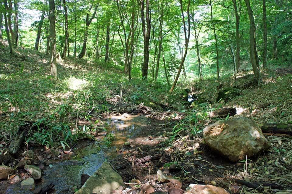 ニコライバーグマン箱根