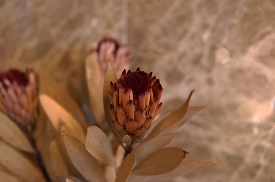 グレーベージュマンションリノベ