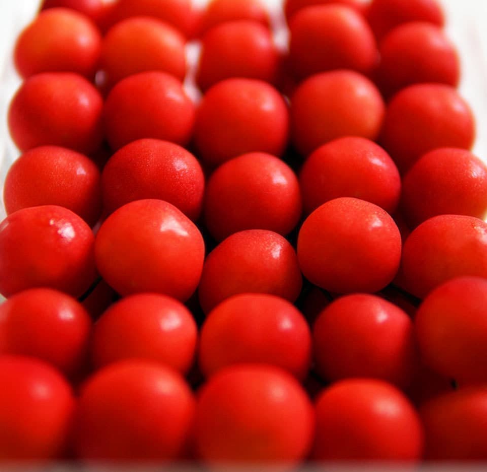 佐藤錦アレルギー