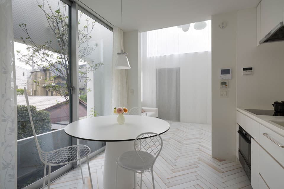 中庭のハナミズキ