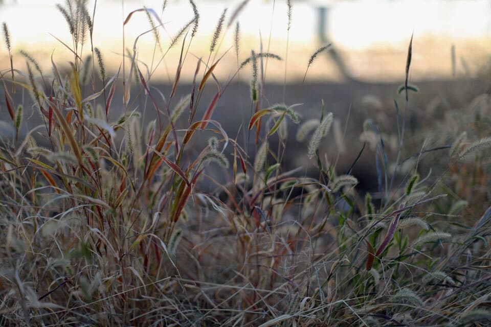 横浜の注文住宅