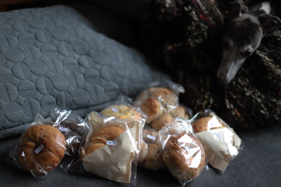 CAMELBAGELベーグルanyyエニイ