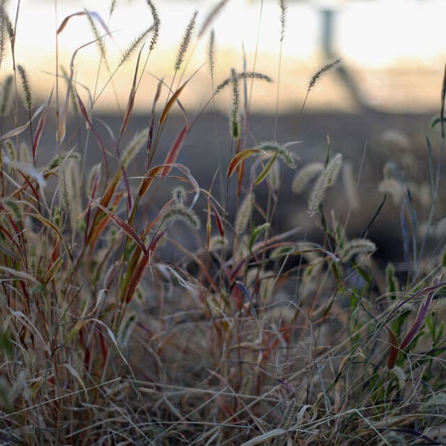 大倉山の設計事務所