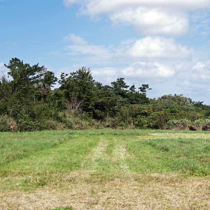 スポーツ観戦レストラン