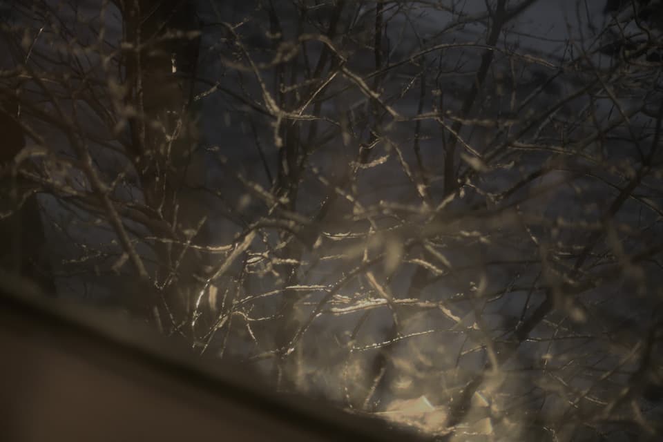 雪だるま大雪anyyエニイ