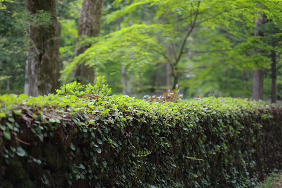 軽井沢御水端別荘建築anyy