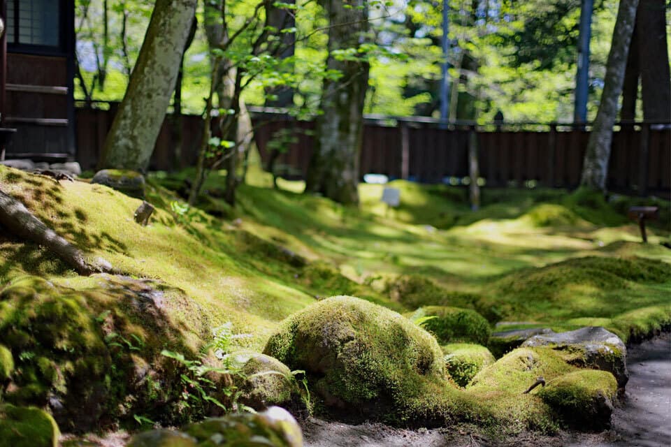 室生犀星別荘建築anyy