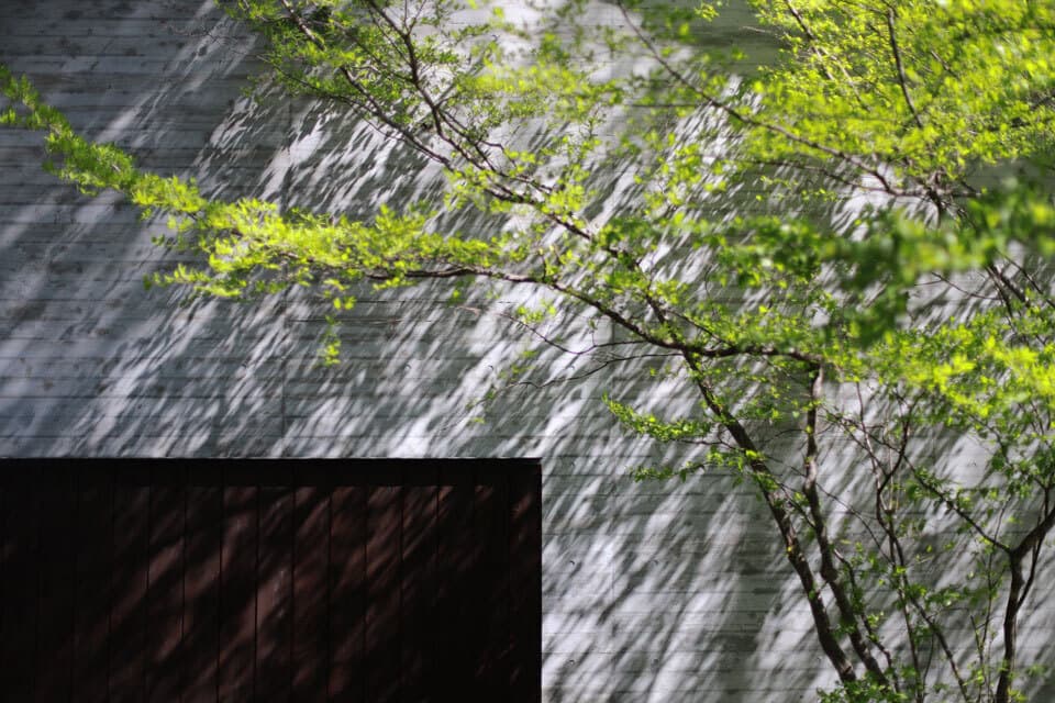 星のや軽井沢ハルニレテラスanyy