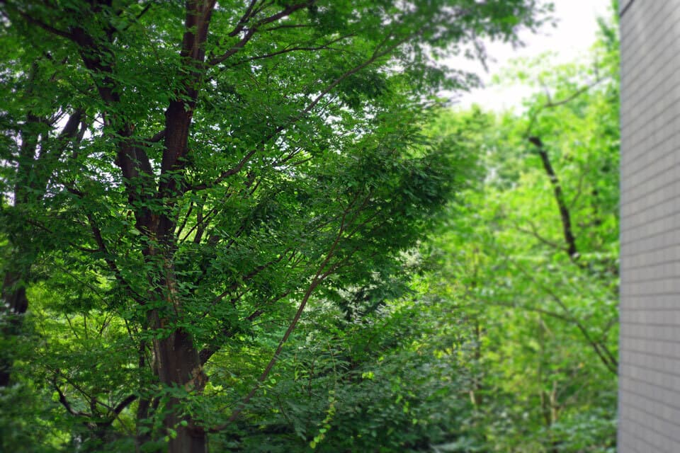 マンションリノベーション品川anyy