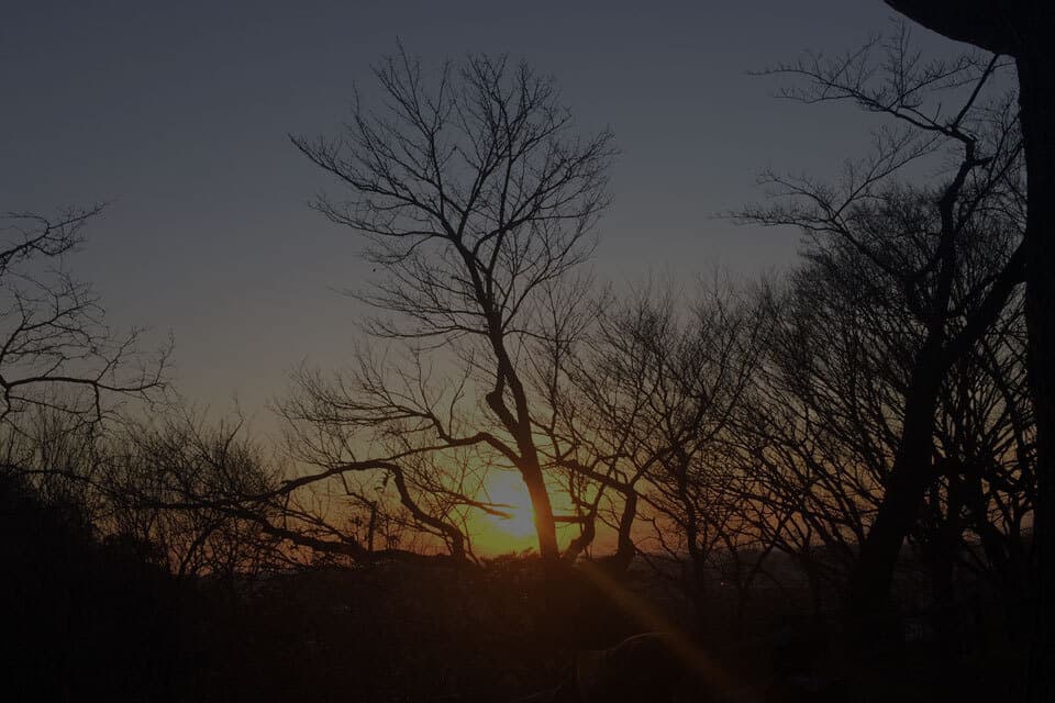 横浜の設計事務所大倉山の設計事務所anyy