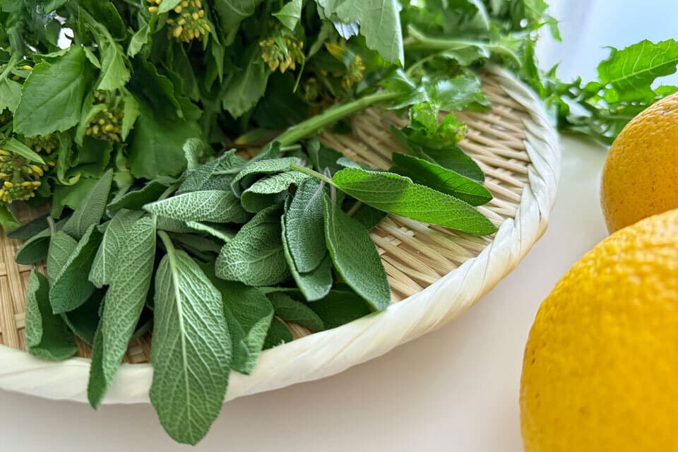 セージ夏みかんanyy