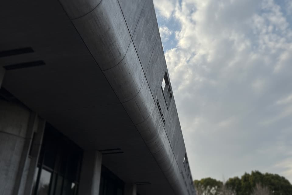 anyy東京音楽祭2025上野