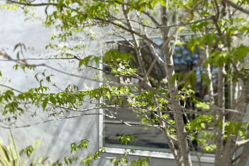 横浜の設計事務所anyy