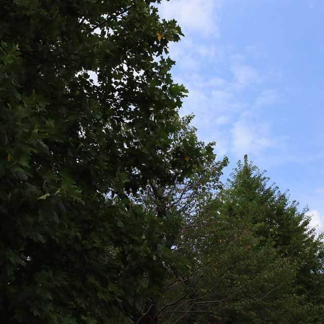 厚木の注文住宅