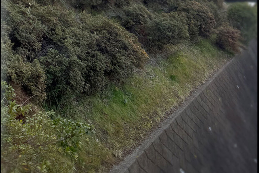 横浜山手の注文住宅